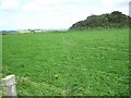 Footpath To Veryan