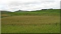 Arable land. South Berryfell