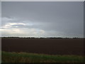 Fields on Thorn Marsh