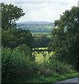 2009 : North of  west from Marston Wood