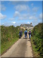 The lane to Nare Head car park