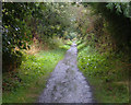 Old Scarborough to Whitby Railway near Burniston