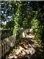 Footpath at Bower House Tye