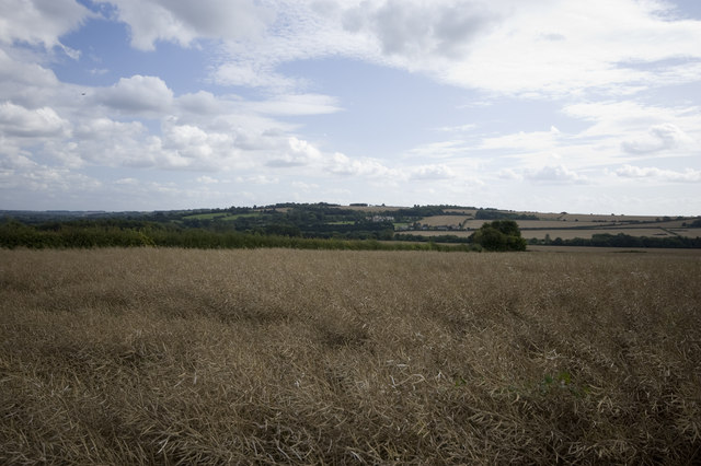 View over a Cotswold field