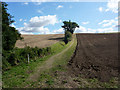 Footpath towards the A1071