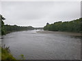 River Ribble