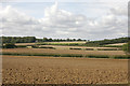 Arable fields south-west of Ridgmont