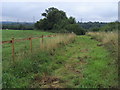 Bridleway to Southlands Road