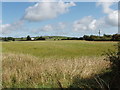 S6205 : Uncut grass field near Monamintra by David Hawgood