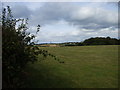 Meadow with Pashley farm in background. East of Hooe, East Sussex.