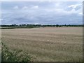 Fields south of Crosshill Road