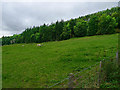 Field near Wester Gourdie House