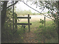 Stile at the boundary of Joan Beech Wood