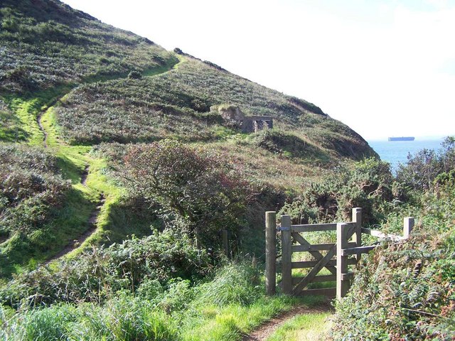 Cornish Coastal Path Near Nare Head