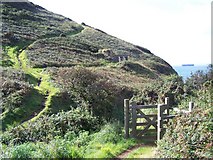 SW9137 : Cornish Coastal Path Near Nare Head by Geoff Pick