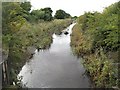 Flood relief channel, Grangemouth