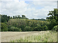 2009 : Farmland and woodland near Maiden Bradley