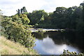 River Tees near Ovington