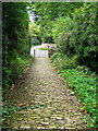 Church path - Corton Denham