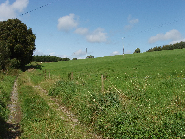 Track and pasture near Kilmeaden