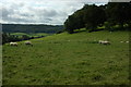 View across the Uley valley