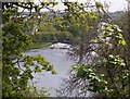 River Clyde at Daldowie