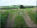 Looking Westwards From Philleigh