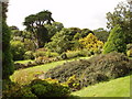 Garden of Killyleagh Castle