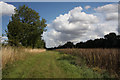 Farm track near Gedding