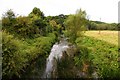 SP4114 : The River Evenlode near Combe by Steve Daniels