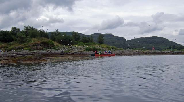 Canoeing through the Burnt Islands