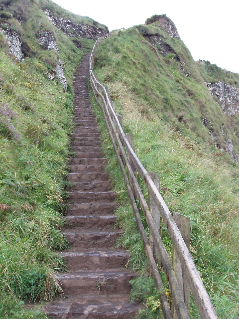 The Shepherd's Steps, Giant's Causeway