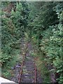 Disused railway line at Llan Ffestiniog - 1