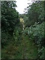 Disused railway line at Llan Ffestiniog - 2