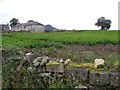 Farm Buildings, Magheracolton