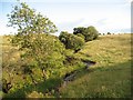 Gilston Burn