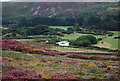 Small pond south of Conwy Mountain