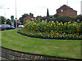 Sunflowers on Cumberland Street Roundabout