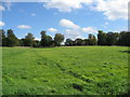 Footpath near Barlborough Hall School