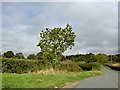 Footpath across Swinhay Lane