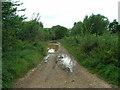 Standing water on the Byway