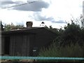 Badger weather vane on stables