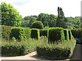 NZ0878 : Belsay Hall - the Yew Garden by Mike Quinn