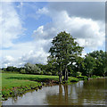 Trent and Mersey Canal at Barlaston, Staffordshire