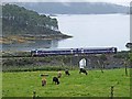 NG8233 : Kyle of Lochalsh railway at Craig Highland Farm by Oliver Dixon