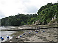 River Dart at Dittisham