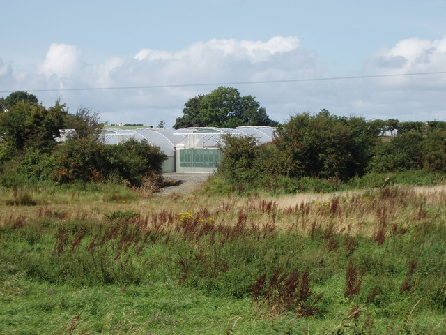 Plastic-covered greenhouse near Tiermore