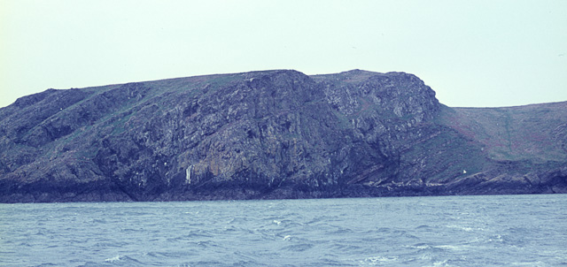 High Cliff and Welsh Way, Skomer