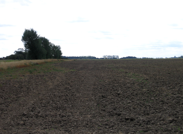 Ploughed field, Moulton Fen, Lincs