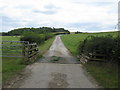 Cattle grid at the NE corner of Glasshouse Pond Plantation